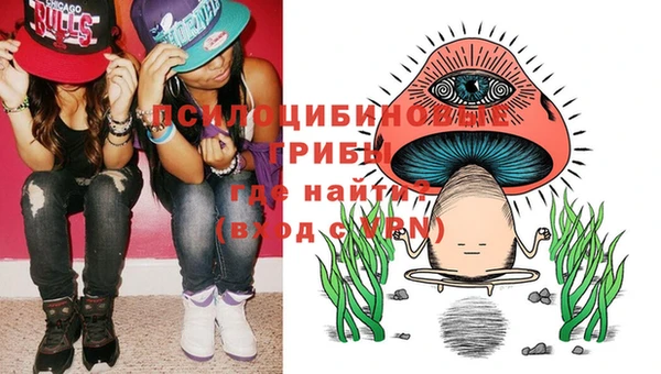 не бодяженный Арсеньев