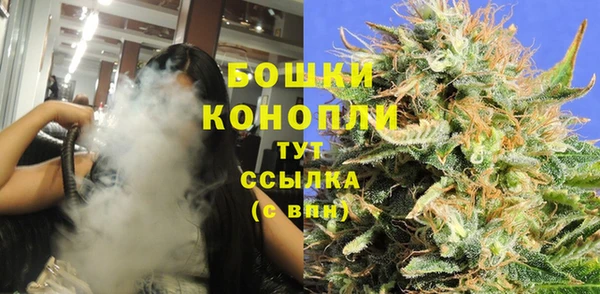 не бодяженный Арсеньев