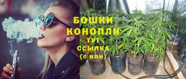 не бодяженный Арсеньев